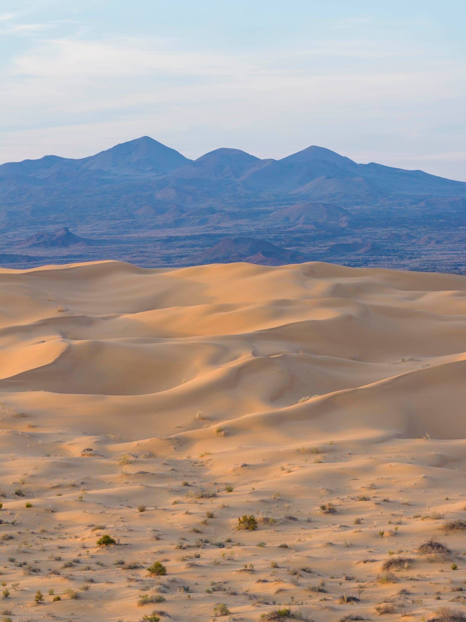 The sea of dunes of the Gran Desierto de Altar with the Sierra del Pinacate behind