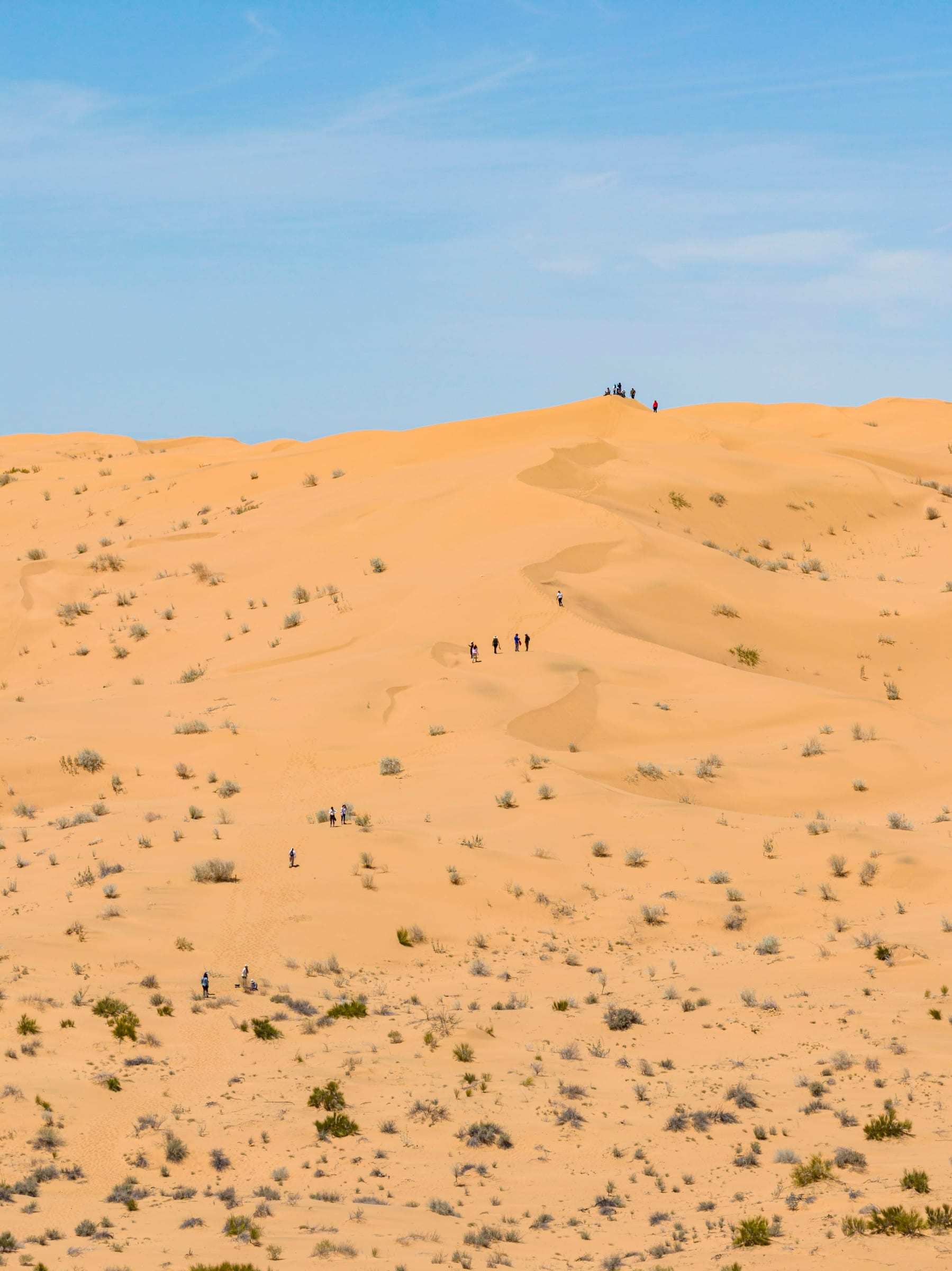 Viajeros en fila suben una duna del Gran Desierto de Altar; otros ya llegaron a la cima