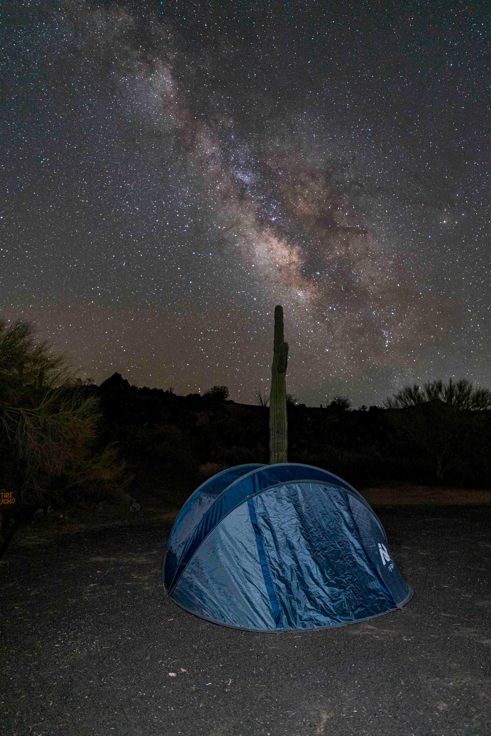 Casa de campaña iluminada junto a un sahuaro bajo la Vía Láctea en El Pinacate
