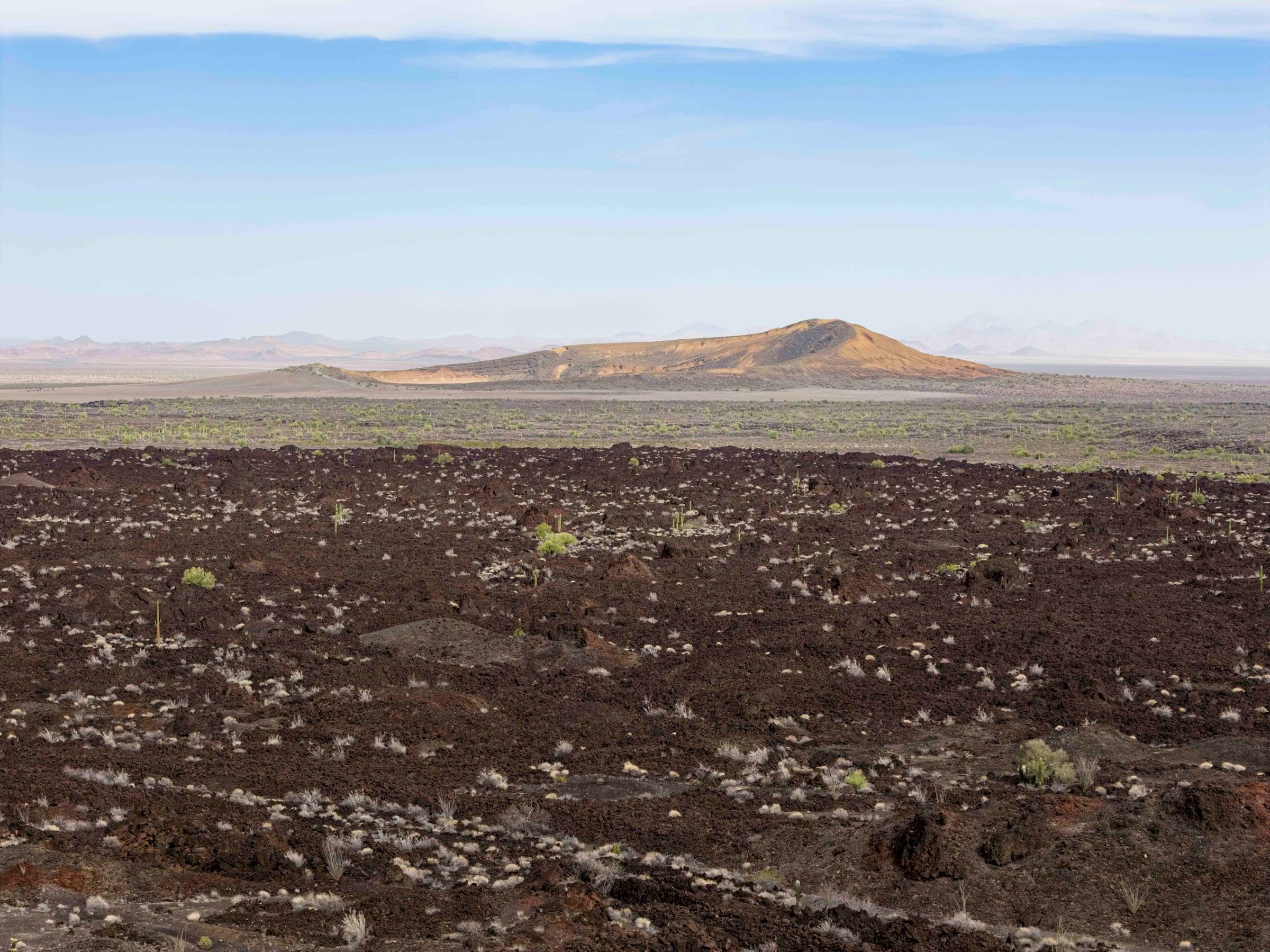 Volcanic cones and lava fields in El Pinacate