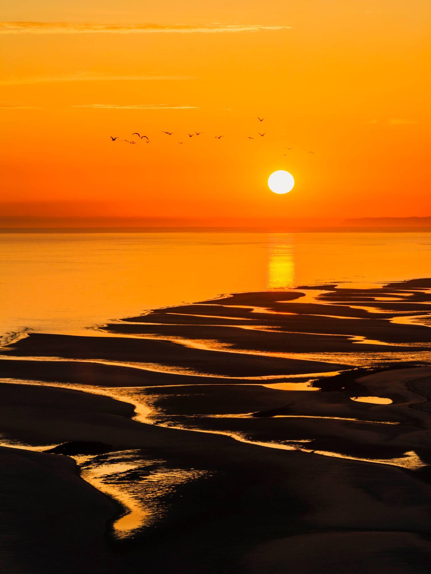 El sol se pone sobre el Mar de Cortés y los canales de marea de la costa de Sonora, con una parvada en vuelo