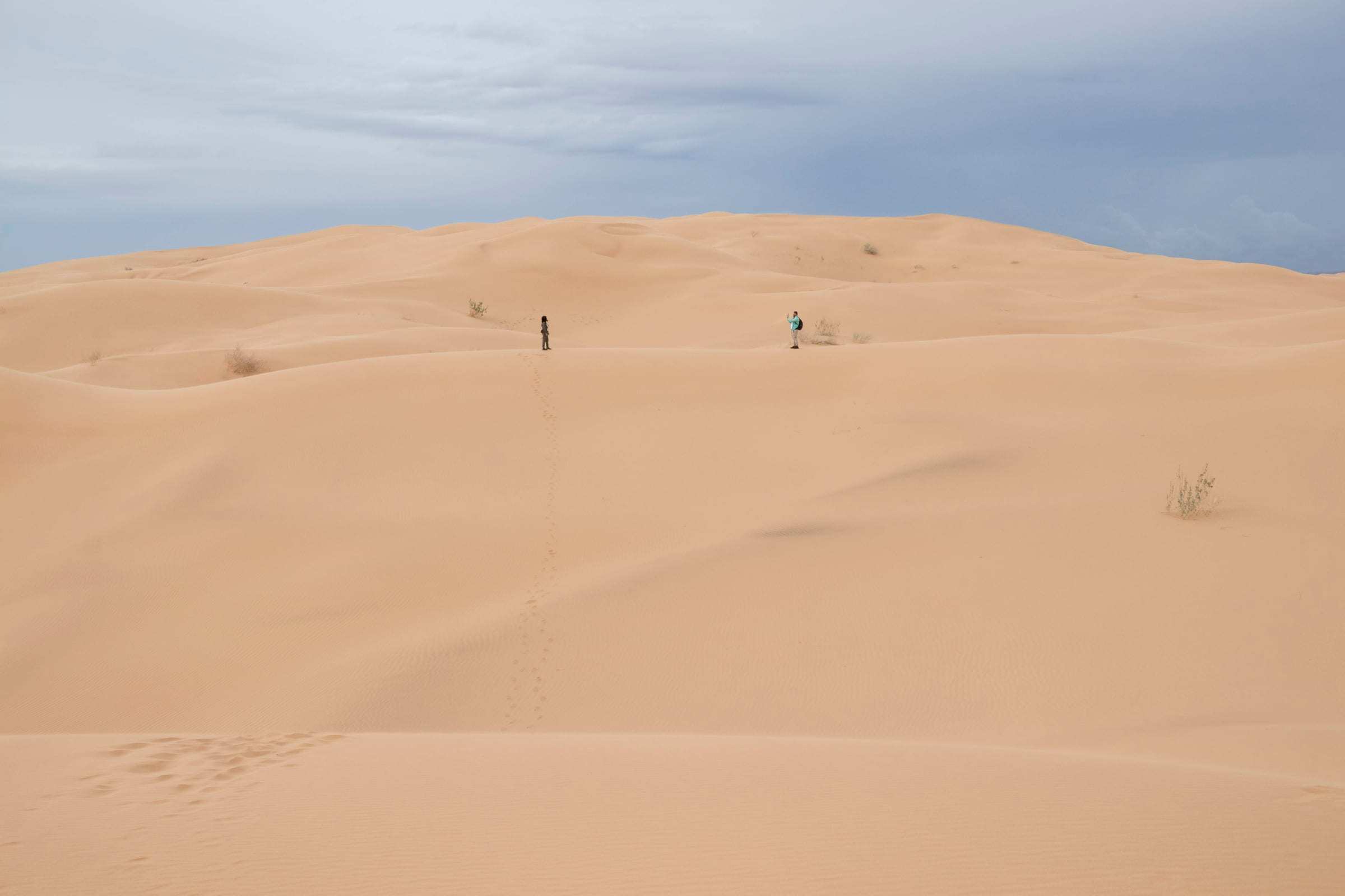Dunas del Gran Desierto de Altar con viajeros a lo lejos