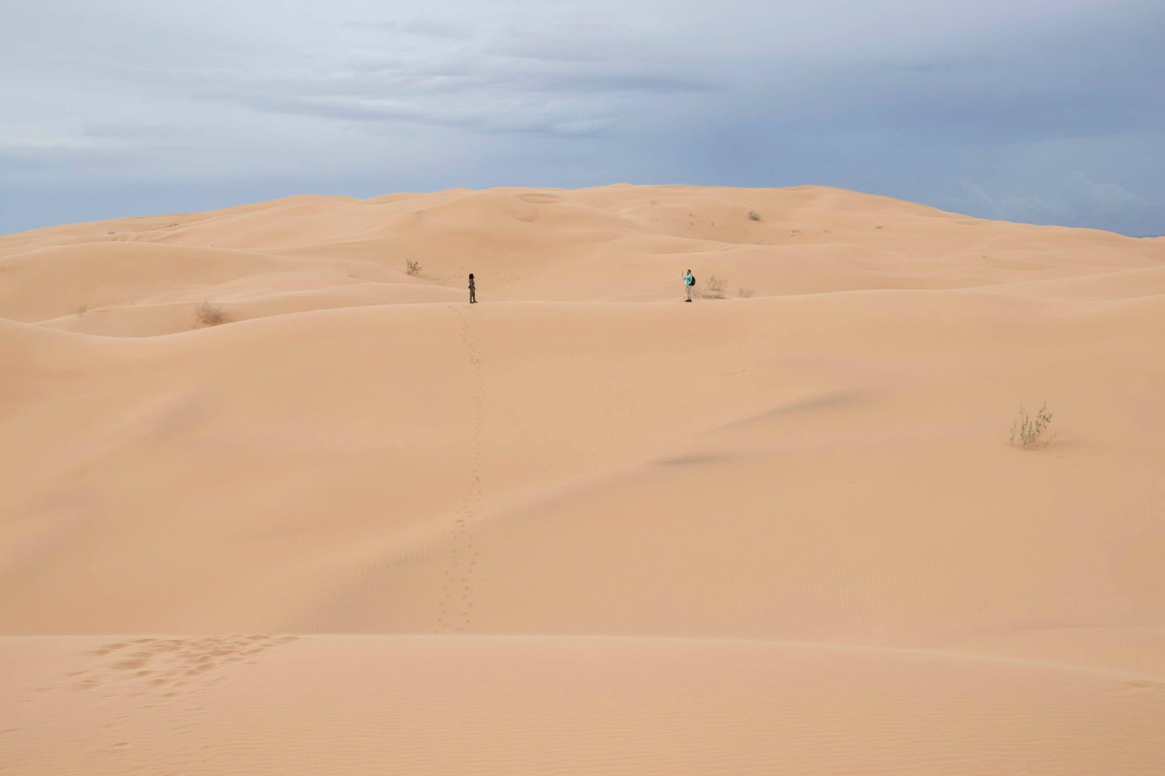 La marche vers les dunes du Gran Desierto de Altar