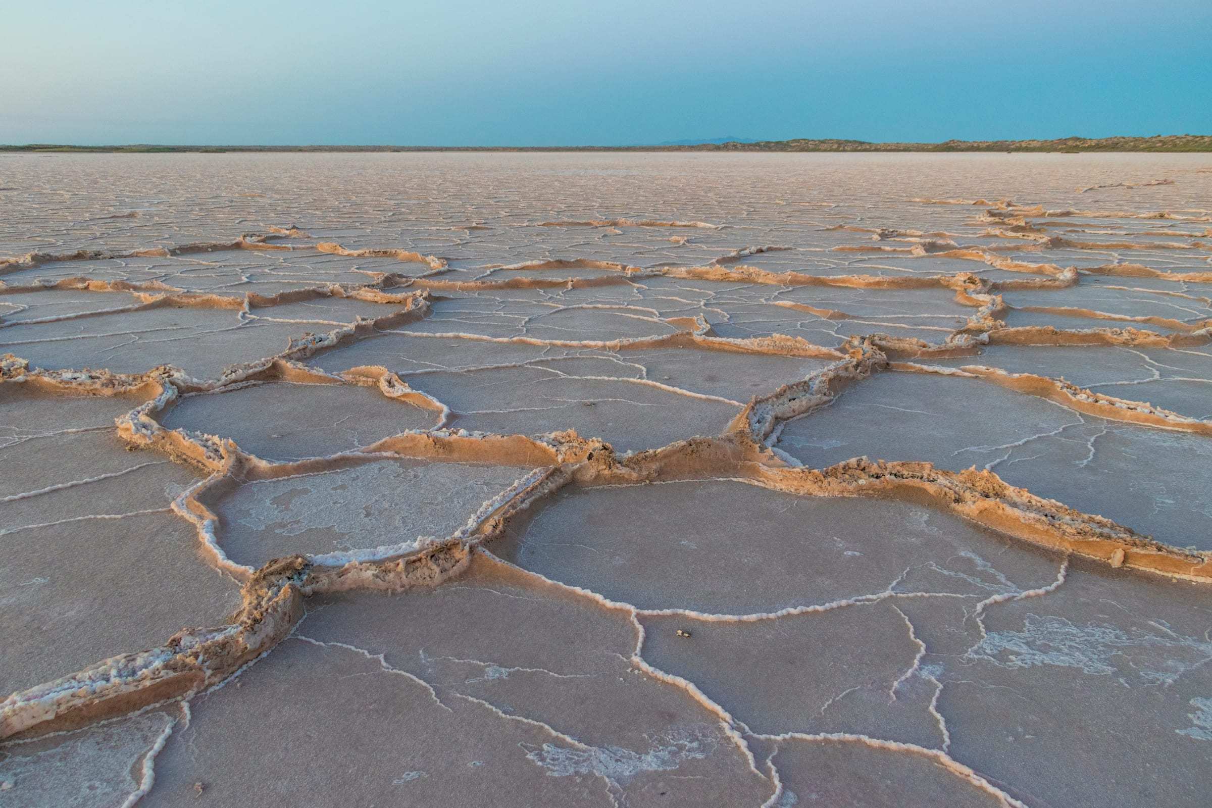 Polígonos de sal en el salar del Alto Golfo de California