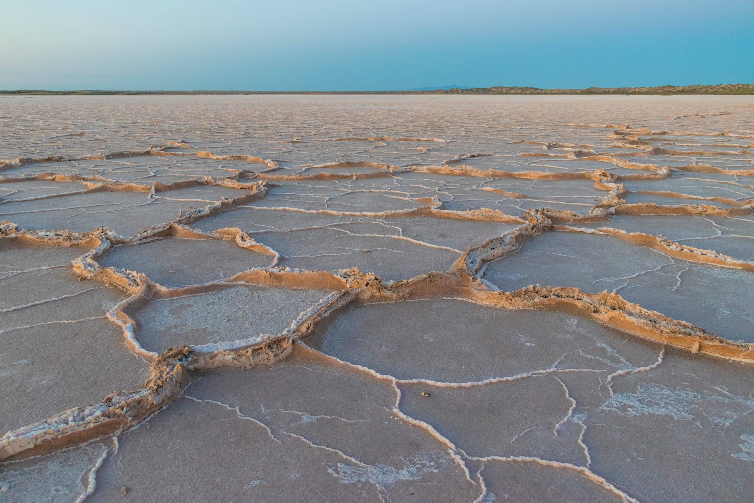 Polygones de sel sur le désert de sel du haut golfe de Californie